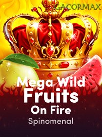 Mega Wild Fruits   On Fire game cover
